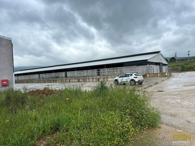 16-BALIKESİR BANDIRMA DEDEOBA KÖYÜNDE SATILIK RUHSATLI FAAL BESİ ÇİTFLİĞİ